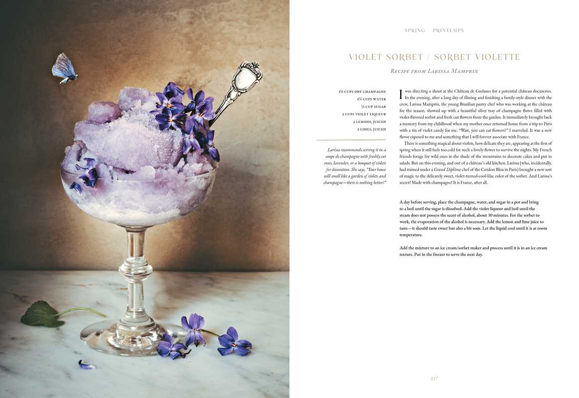 American in Provence by Jamie Beck - Trouvaille Imports