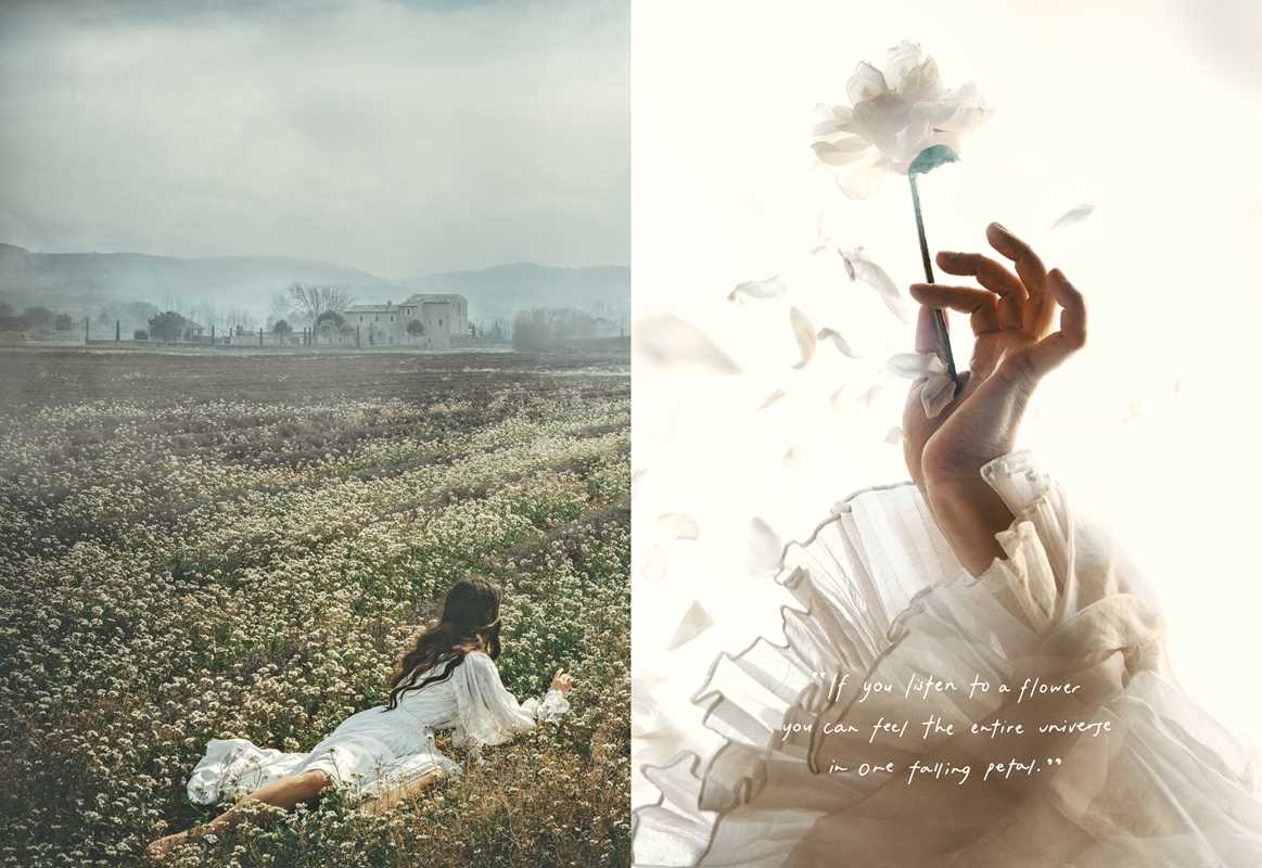 American in Provence by Jamie Beck - Trouvaille Imports