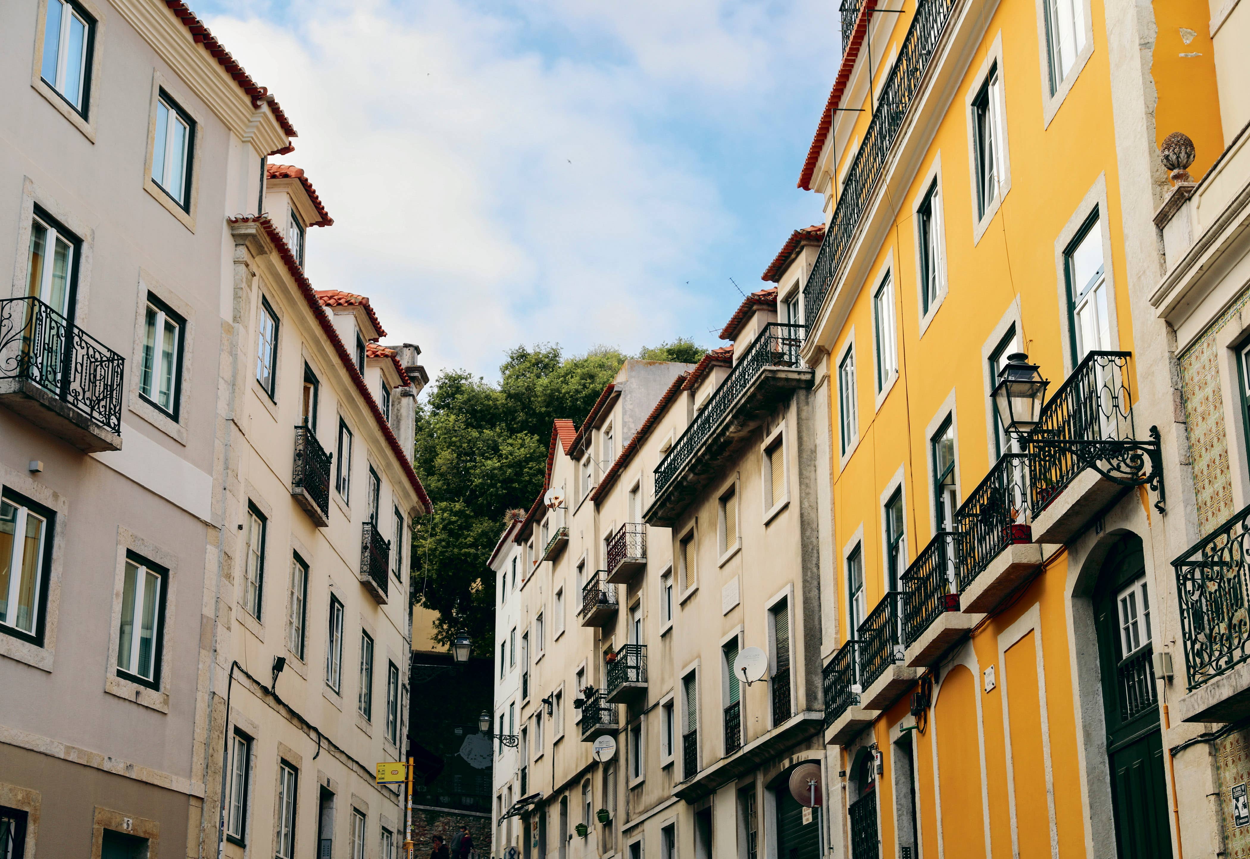 Patterns of Portugal - Trouvaille Imports