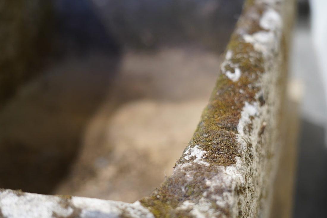 Antique Limestone Trough - Rectangle - Trouvaille Imports