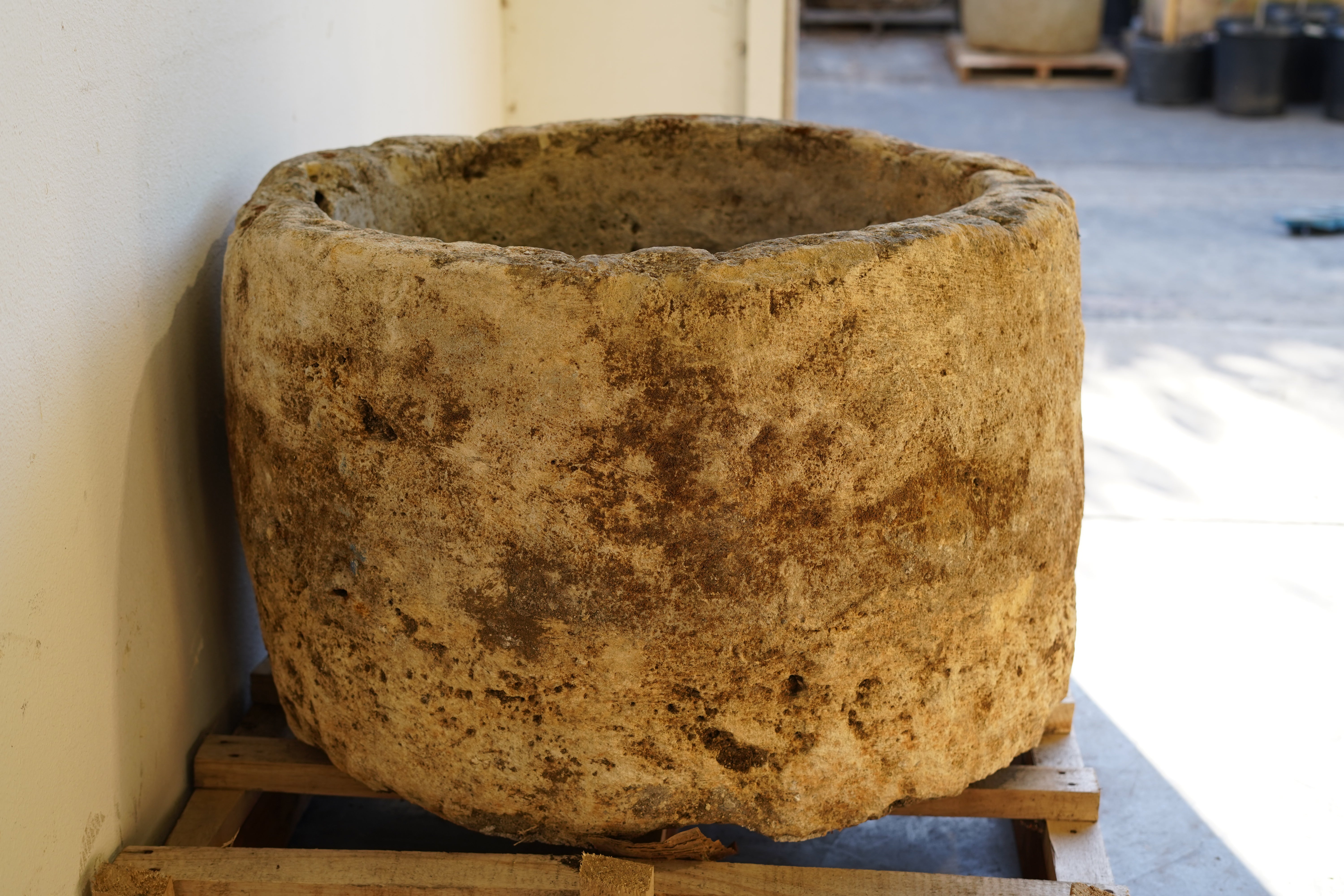 Side view of Antique Hand Carved Limestone Round Planter 34" D x 22" H with natural aging, patina and character in shaded indirect natural light.
