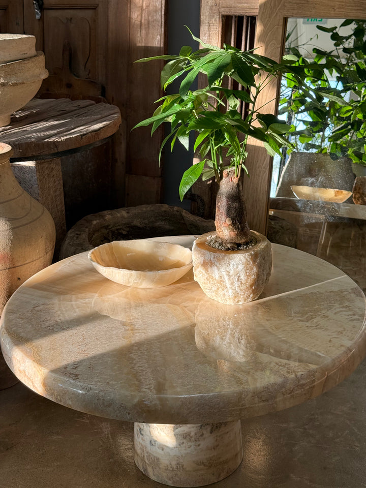 Onyx Coffee Table - Trouvaille Imports