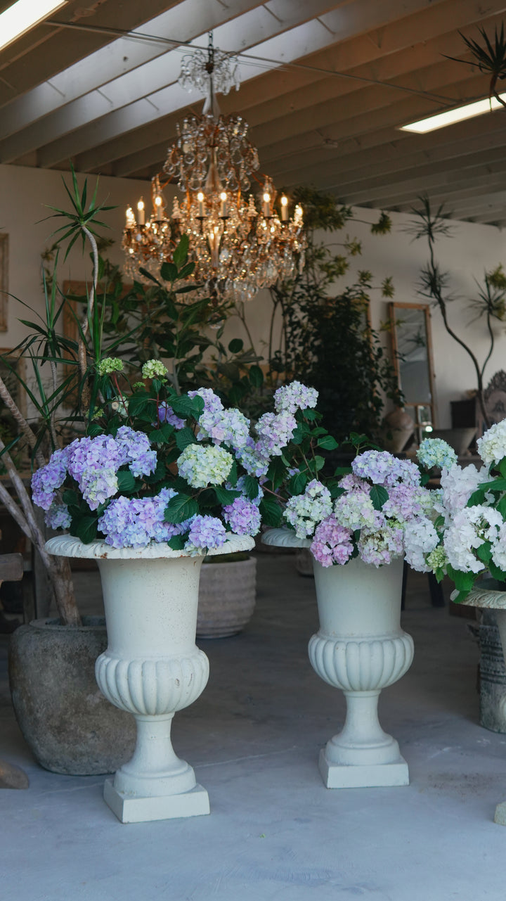 Antique Italian Urns (PAIR)
