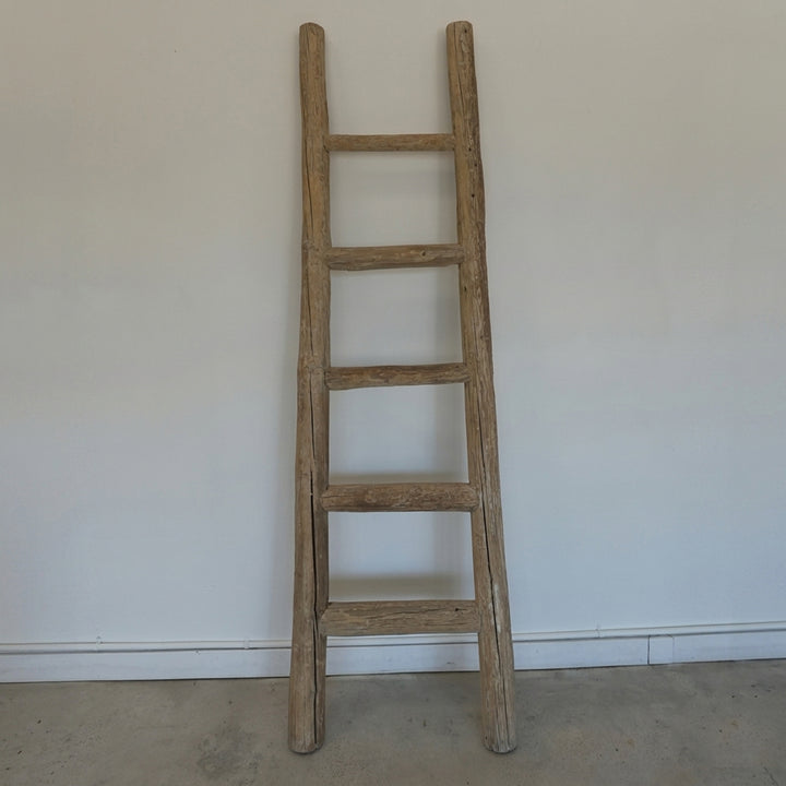 Elm Wood Ladder