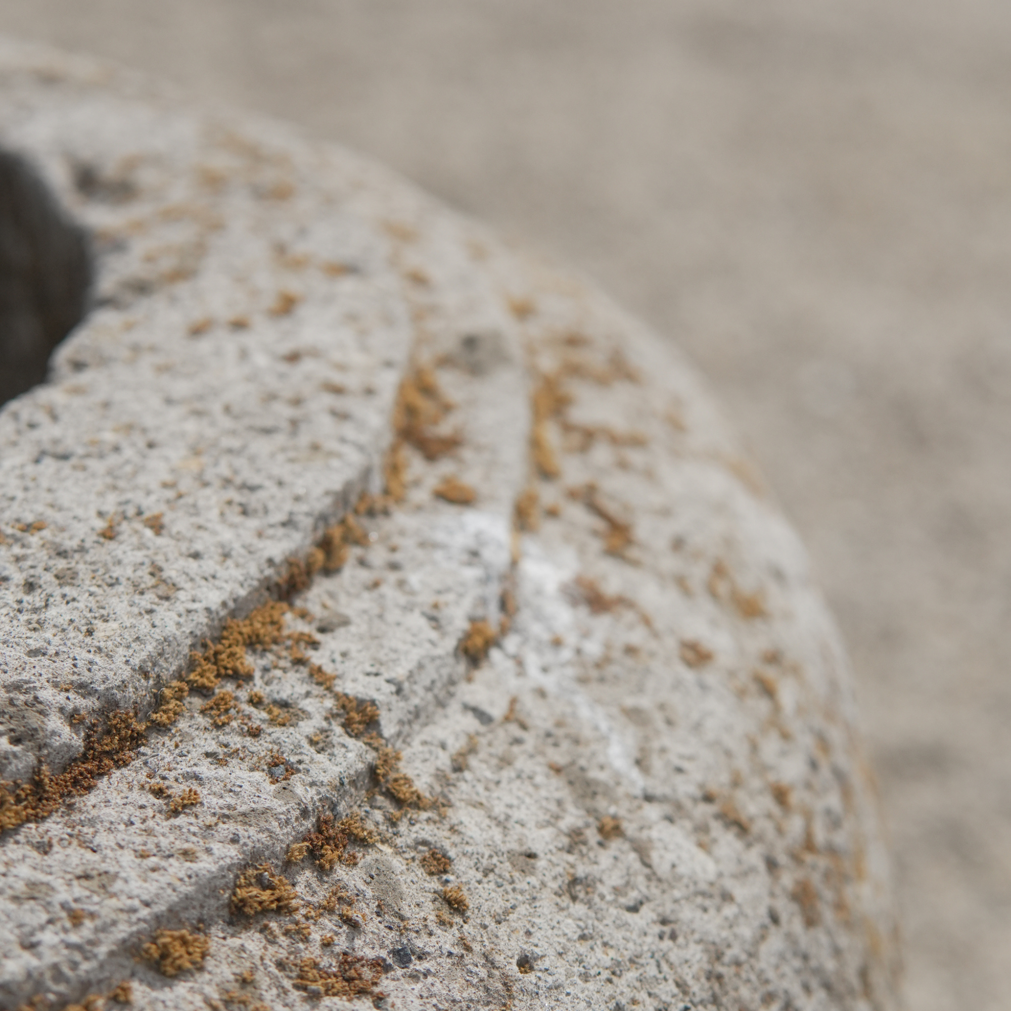 Antique Volcanic Indonesian Stone (PAIR) - Trouvaille Imports