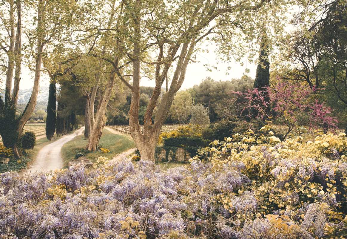 American in Provence by Jamie Beck - Trouvaille Imports