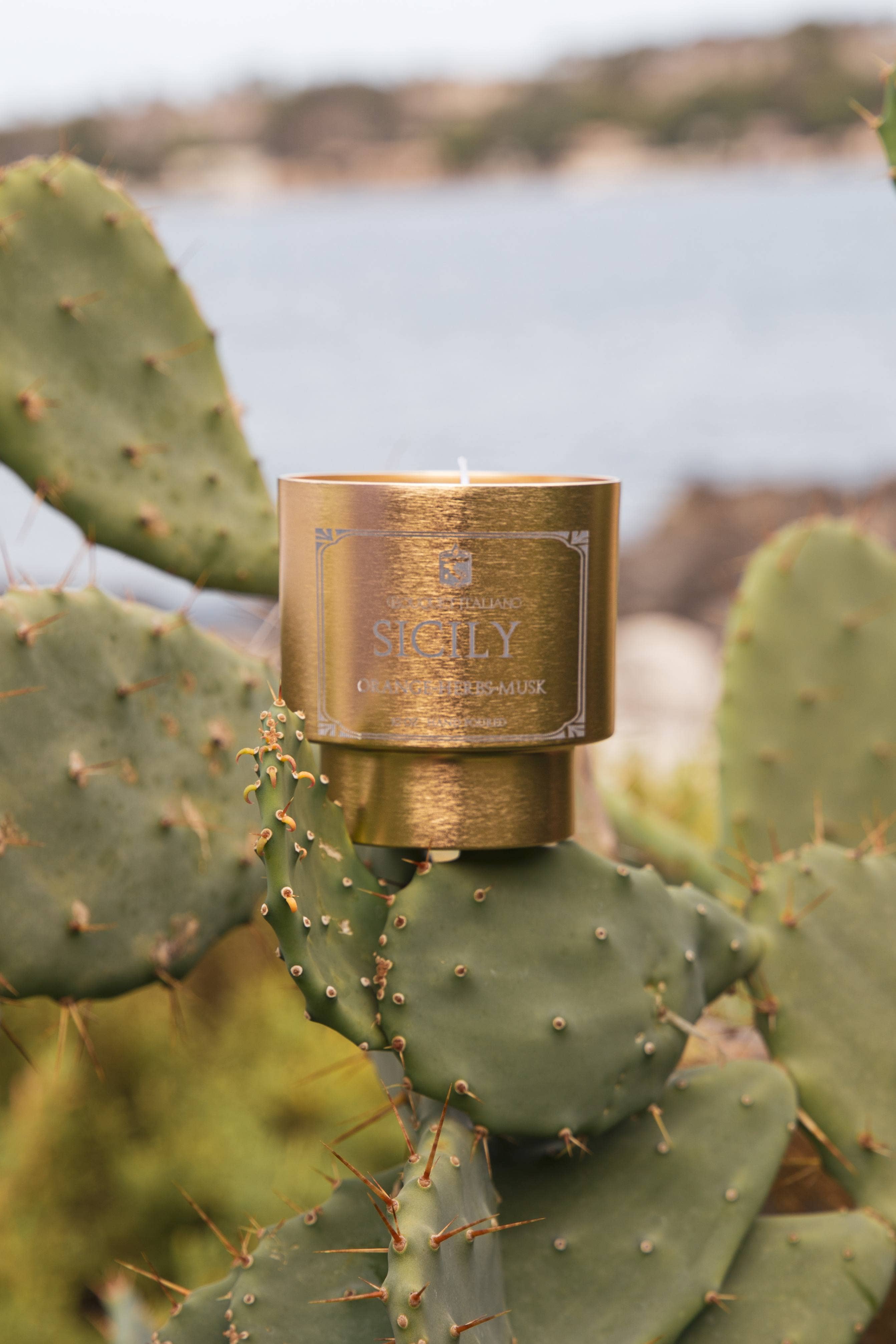 Sicily Luxury Scented Candle – Citrus & Mediterranean Herbs - Trouvaille Imports